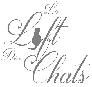 LeLoftDesChats